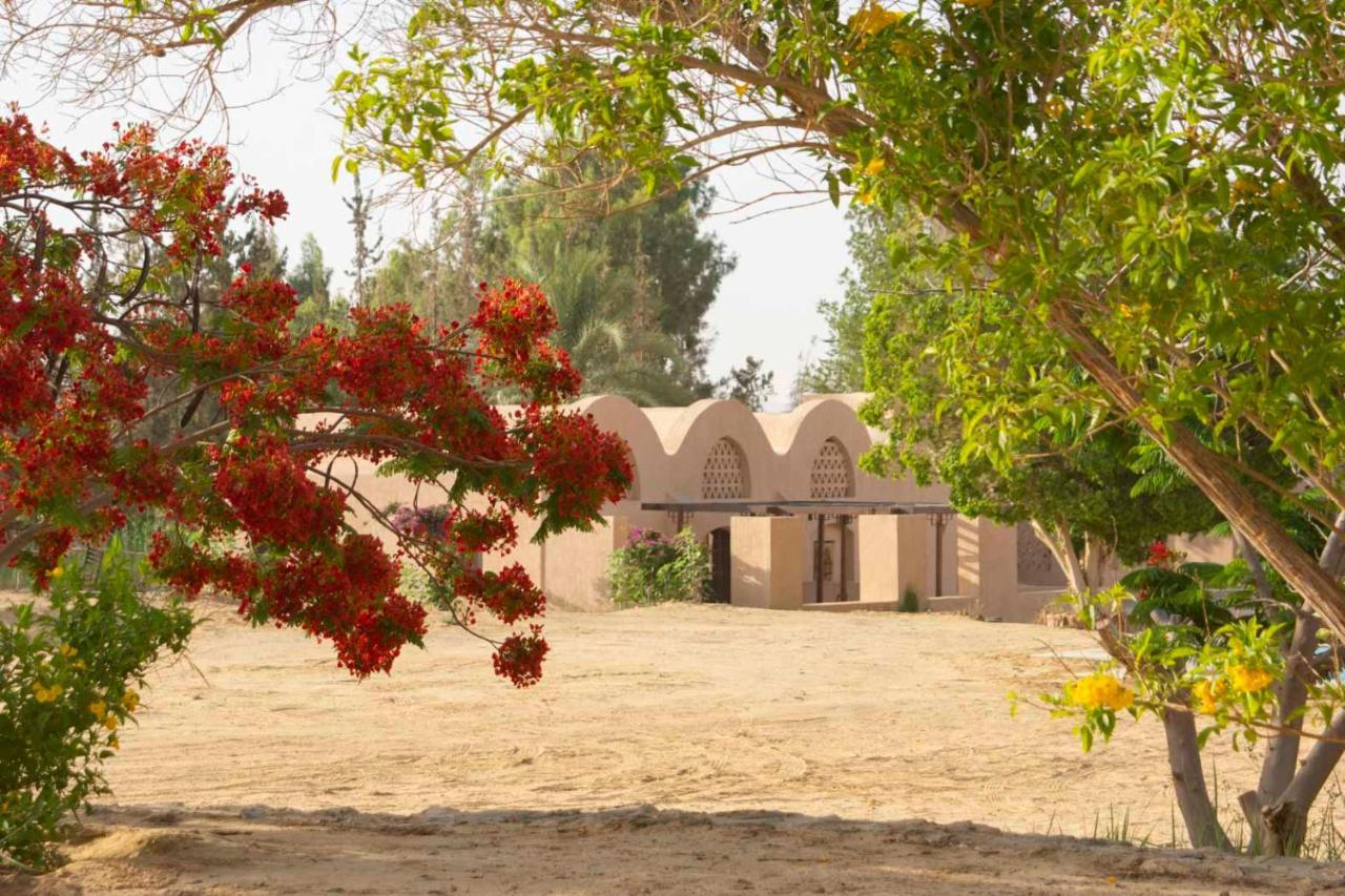 Tzila Bahariya Villa Bahariya Oasis Dış mekan fotoğraf