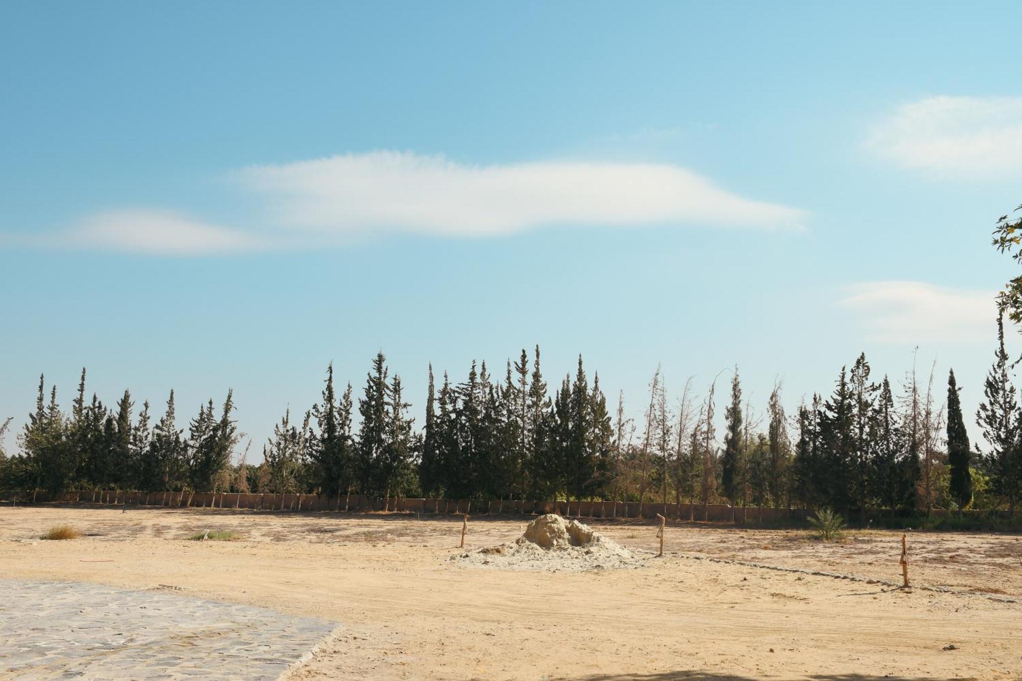 Tzila Bahariya Villa Bahariya Oasis Dış mekan fotoğraf